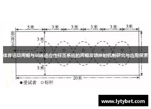体育运动周期与训练适应性标签系统的周期反馈映射机制研究与应用探索